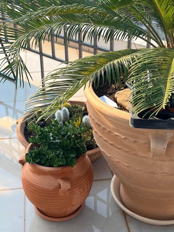 Magical Seaside Town Boutique Apts 2 Кипарисия Екстериор снимка